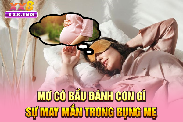 Mơ Có Bầu Đánh Con Gì | Sự May Mắn Trong Bụng Mẹ