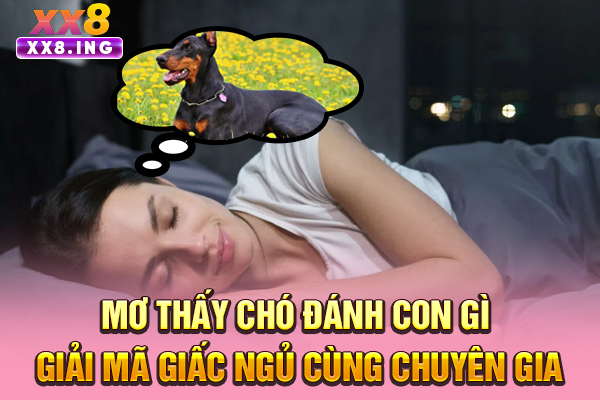 Mơ Thấy Chó Đánh Con Gì | Giải Mã Giấc Ngủ Cùng Chuyên Gia