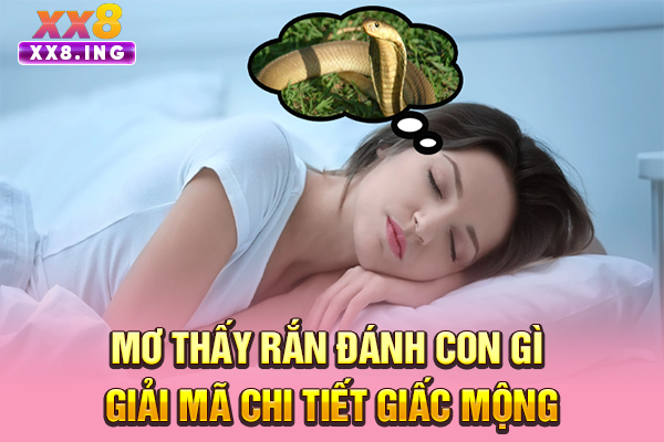 Mơ Thấy Rắn Đánh Con Gì | Giải Mã Chi Tiết Giấc Mộng