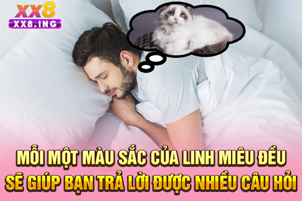 Mỗi một màu sắc của linh miêu đều sẽ giúp bạn trả lời được nhiều câu hỏi